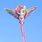 S268a73b6c0b24d3993f8bafa69b2e550a (1)