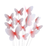 S61f3afdc825a4252acc5a9732e77f34cF-Photoroom