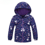 Sa0d99dc724e444419179b1e9d2939f17l_cleanup