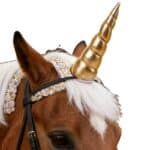 Sc27191b135924241a380684a3fae399ci